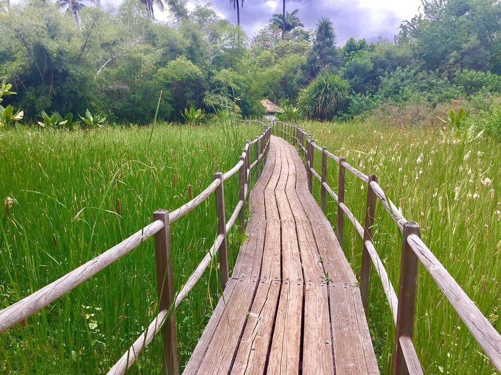 Jardin d'Eden Saint-Gilles