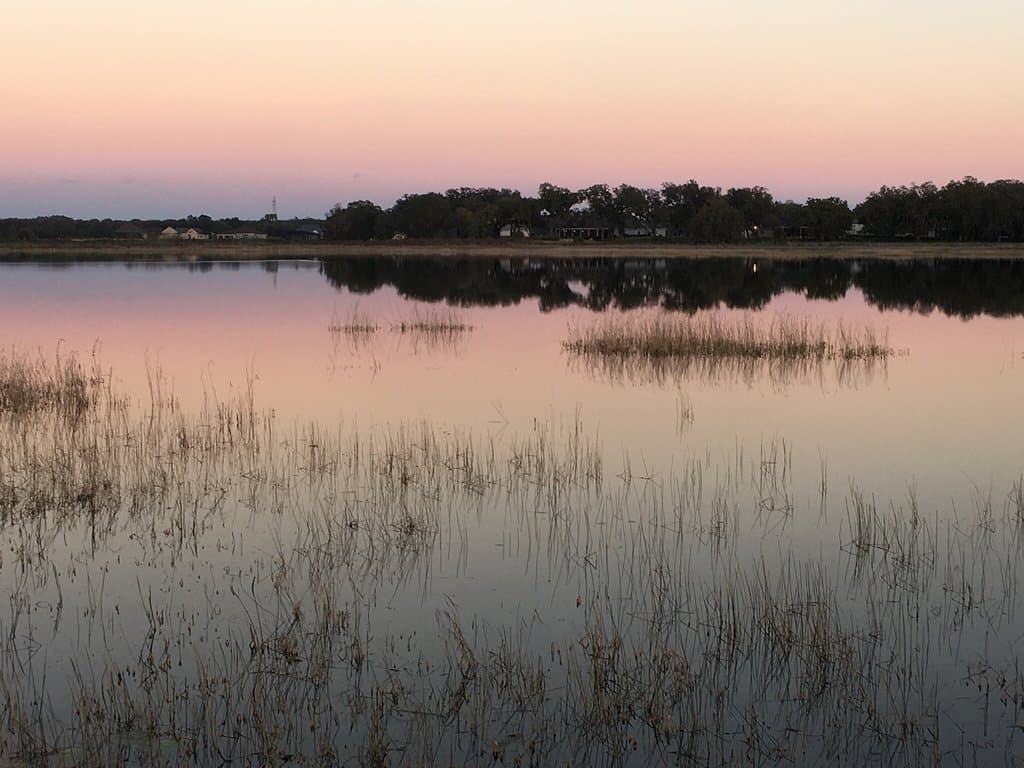 Wildlife & View at the Sharon Rose Wiechens Preserve