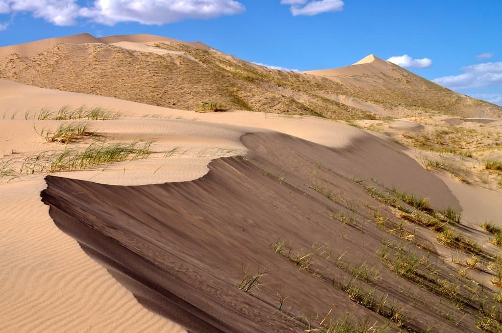 Tallest dunes at Kelso Dunes.