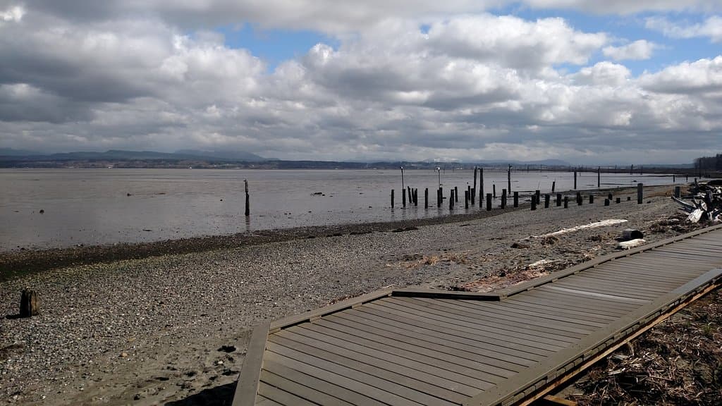 Boardwalk view at extreme low tide
