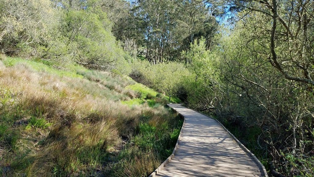 Islas Creek Trail