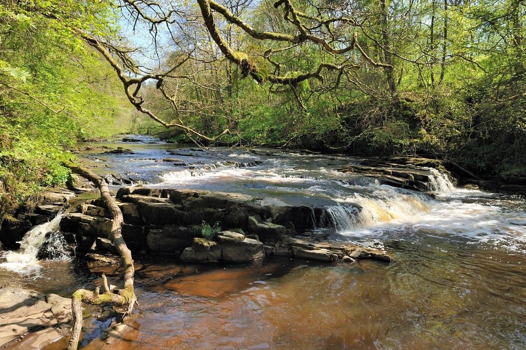 New Lanark Woodland Paths