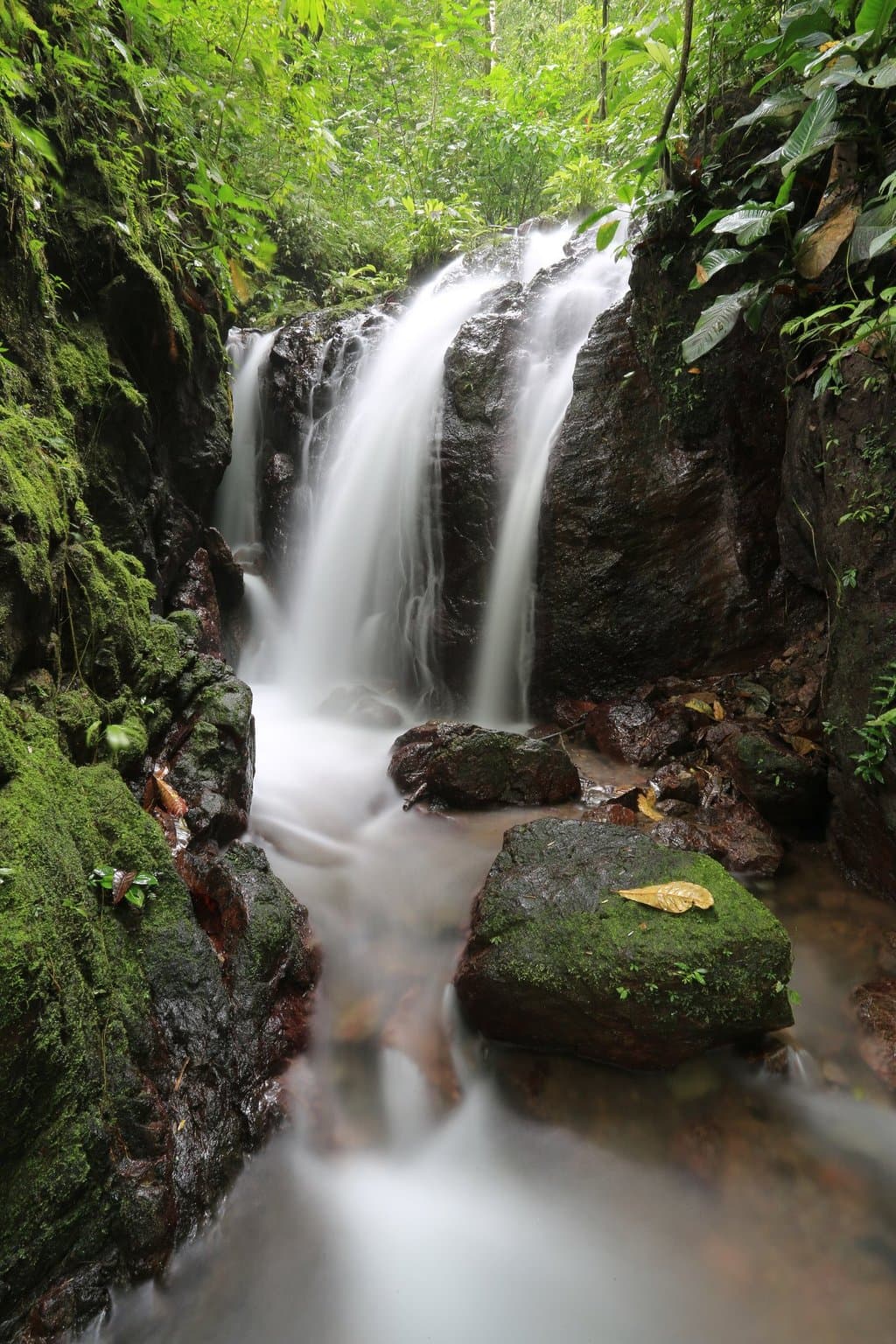 waterfall