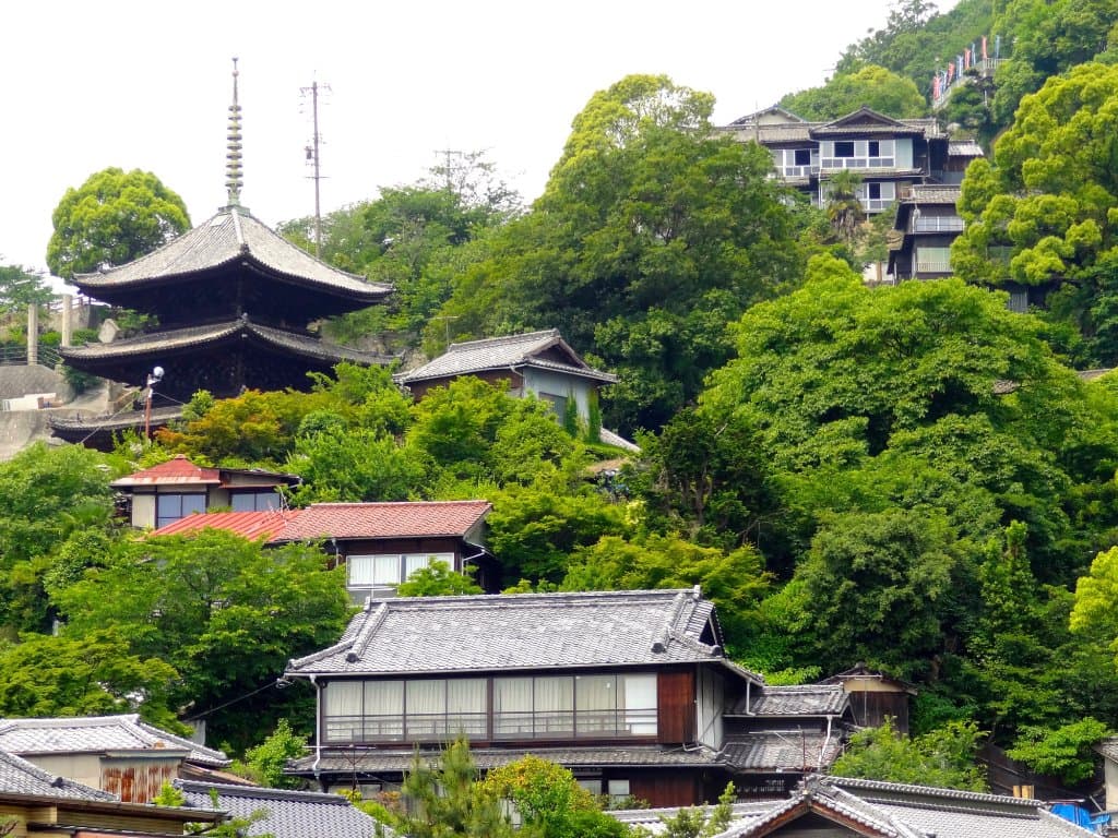 猫の細道