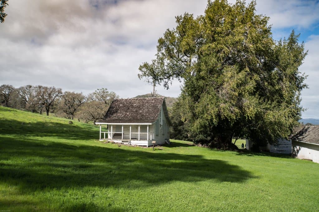 Cottage