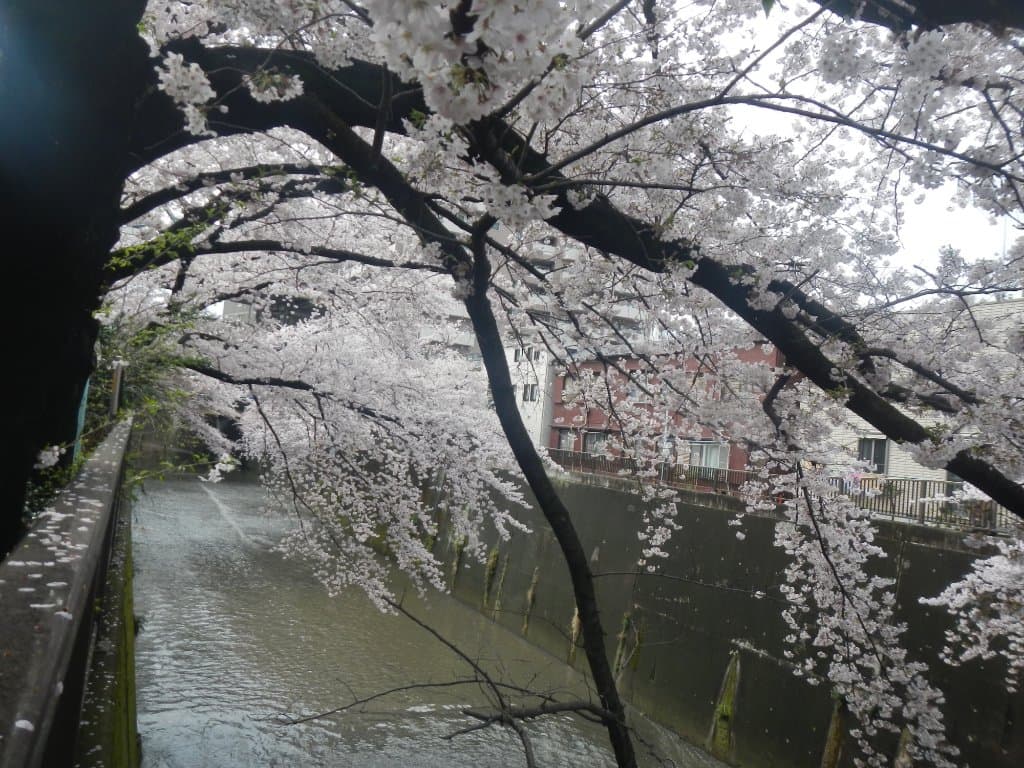 Itabashi Bridge Tokyo