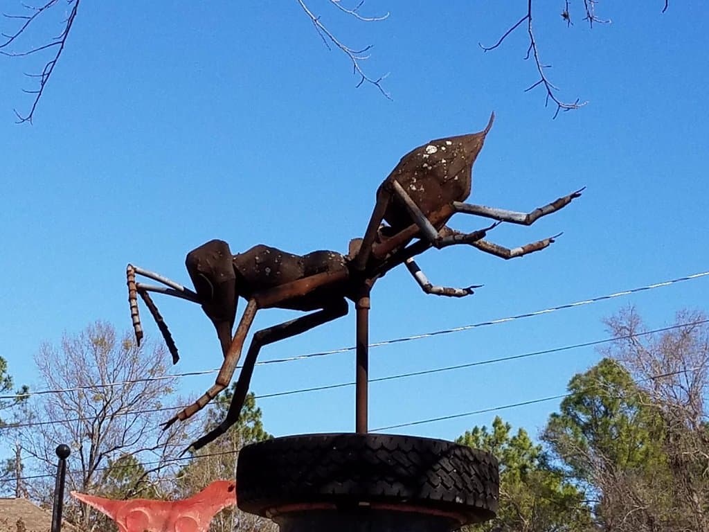 Fire Ant