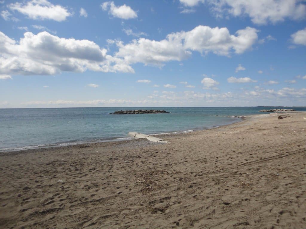 Woodbine beach