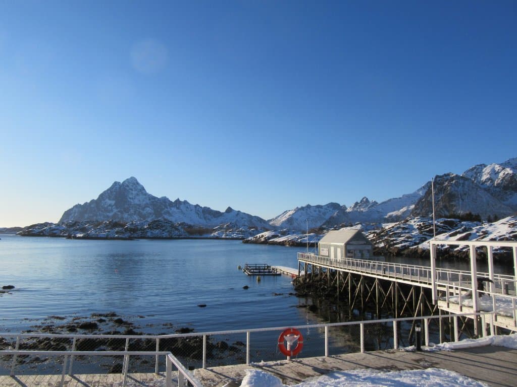 View from the aquarium