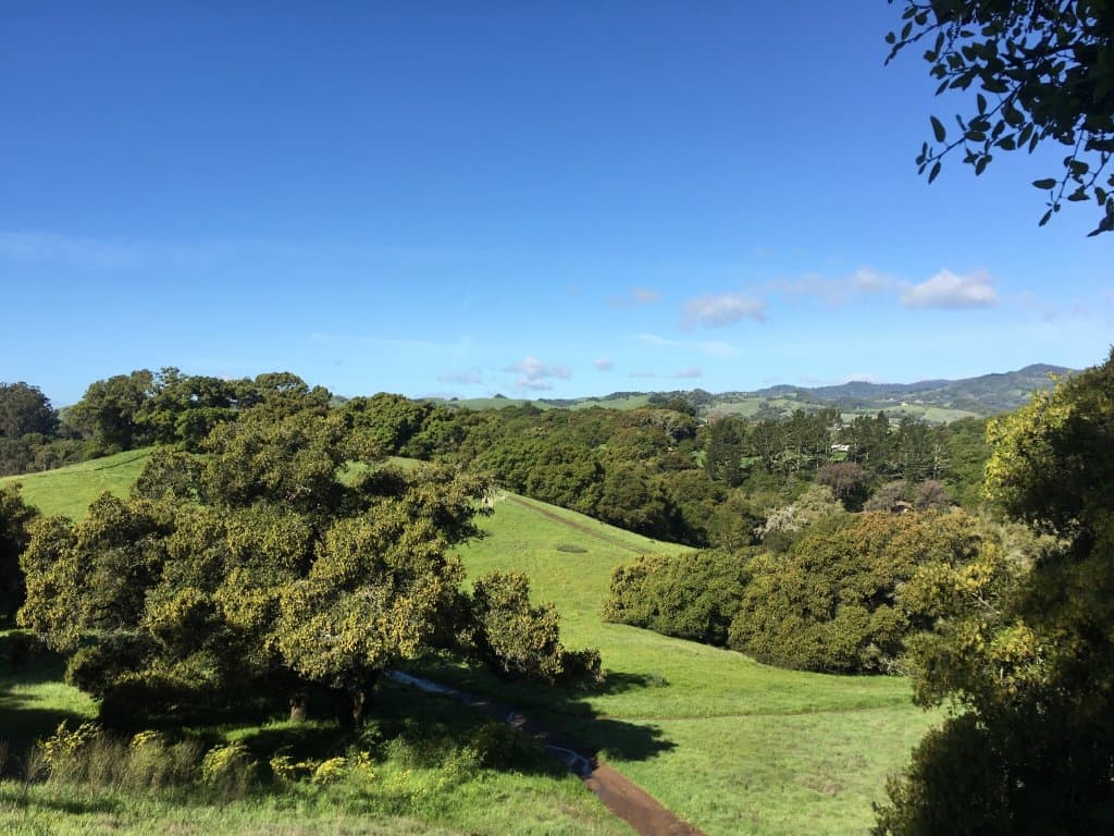 Westwood Hills Park