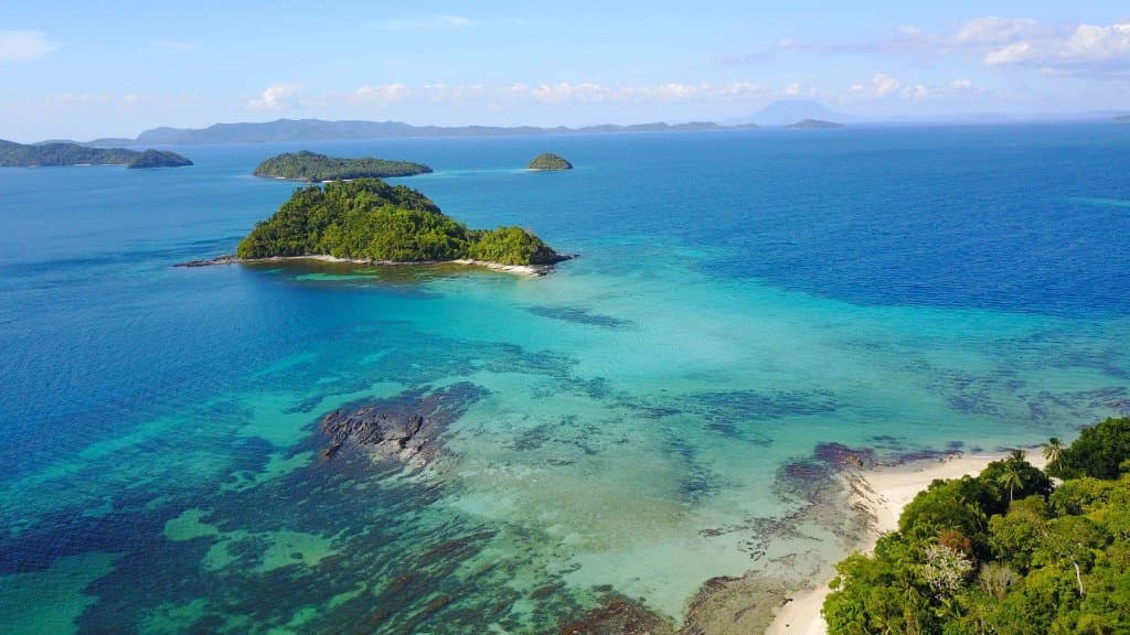 Starfish Sandbar Port Barton