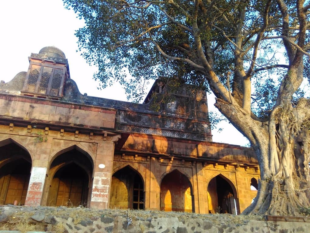 Front view