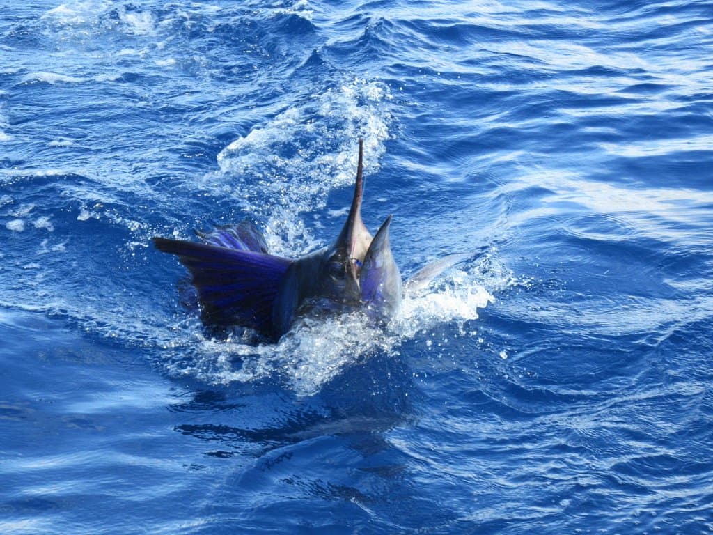 One of seven during the day!