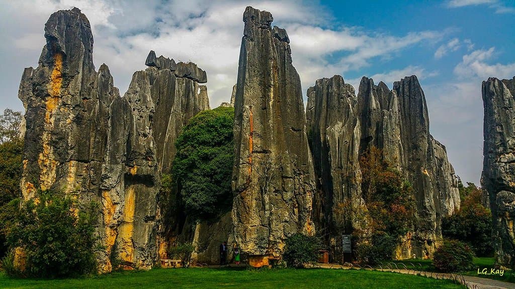 Minor stone forest