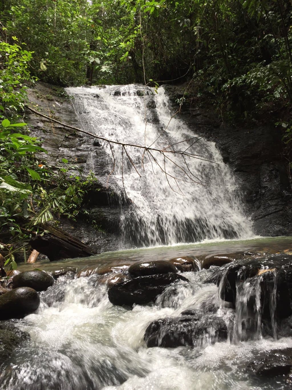 Ulu Temburong National Park