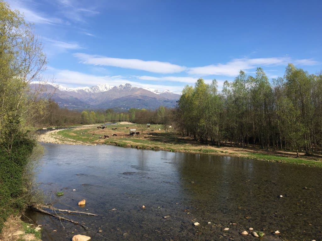 Panorami sulle alpi biellesi