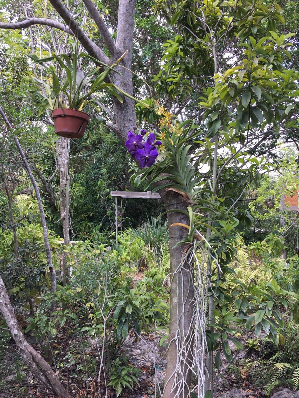 Sawgrass Nature Center and Wildlife Hospital