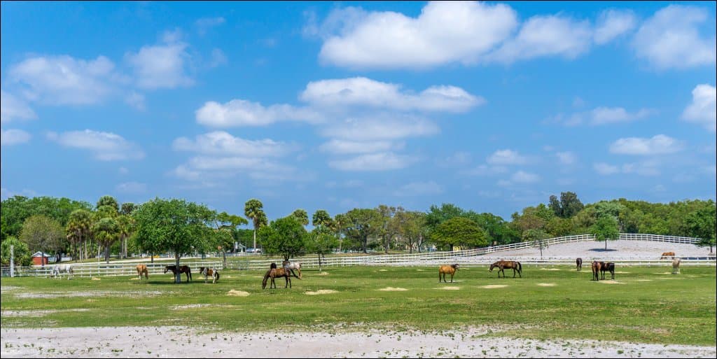 Tradewinds Park