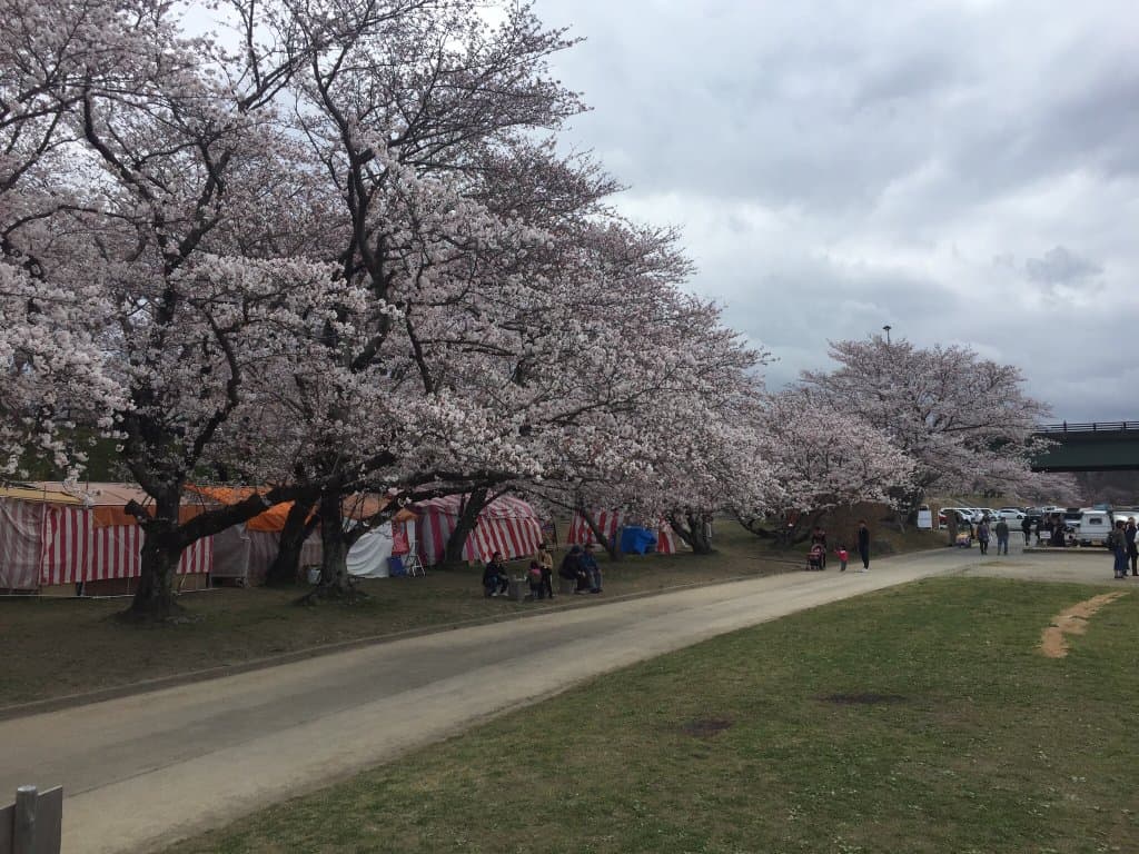 Miyagawa Tsutsumi Park