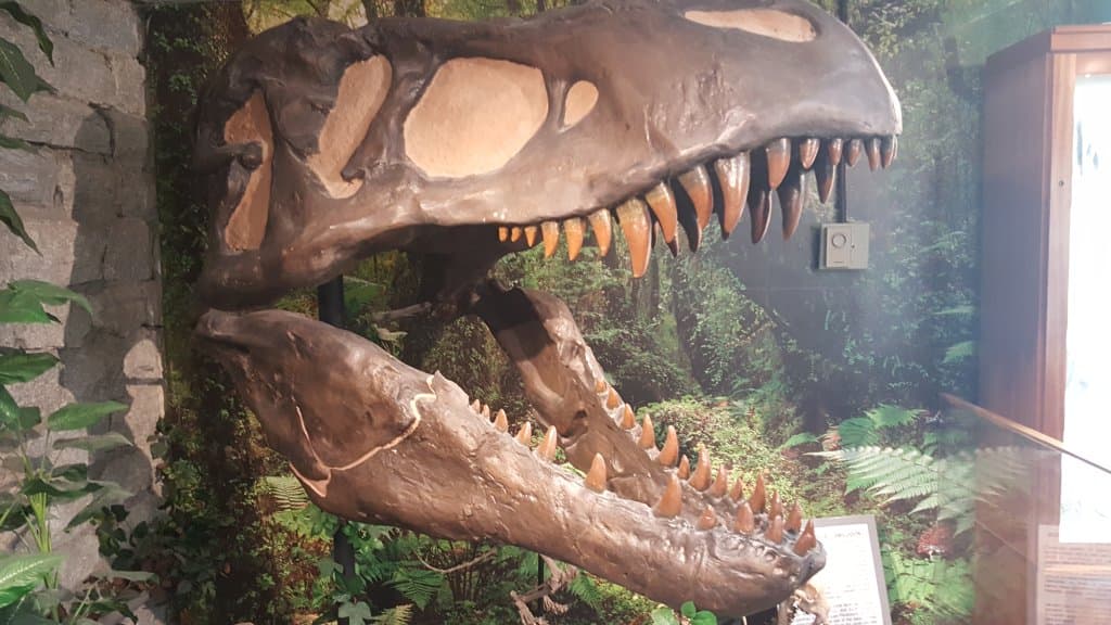 Mineral and Lapidary Museum Henderson County