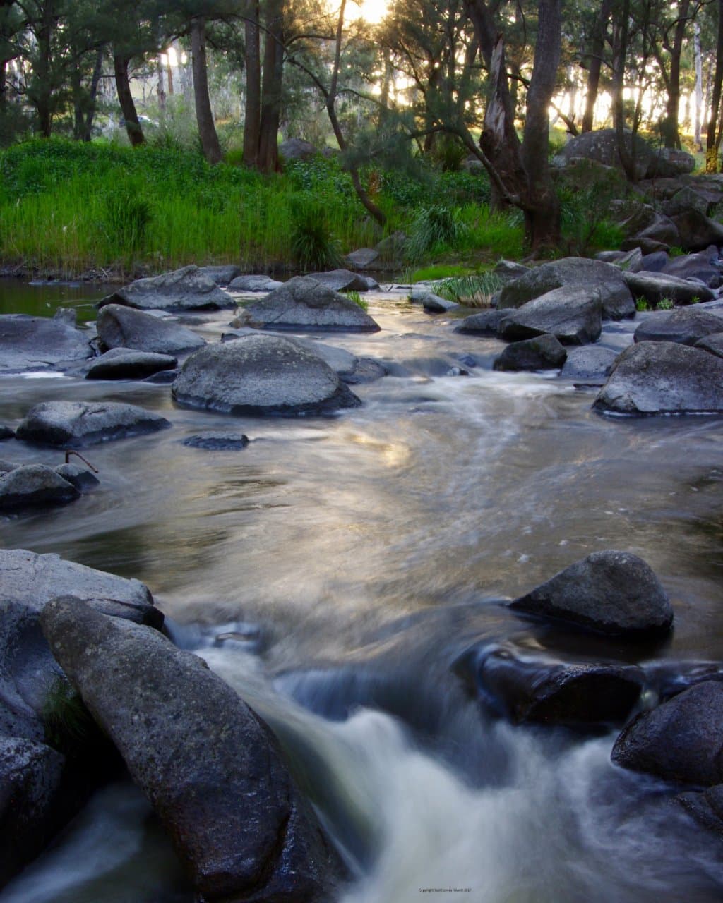 Enchanted Forest at Blue Holes - Gara Gorge -Armidale NSW