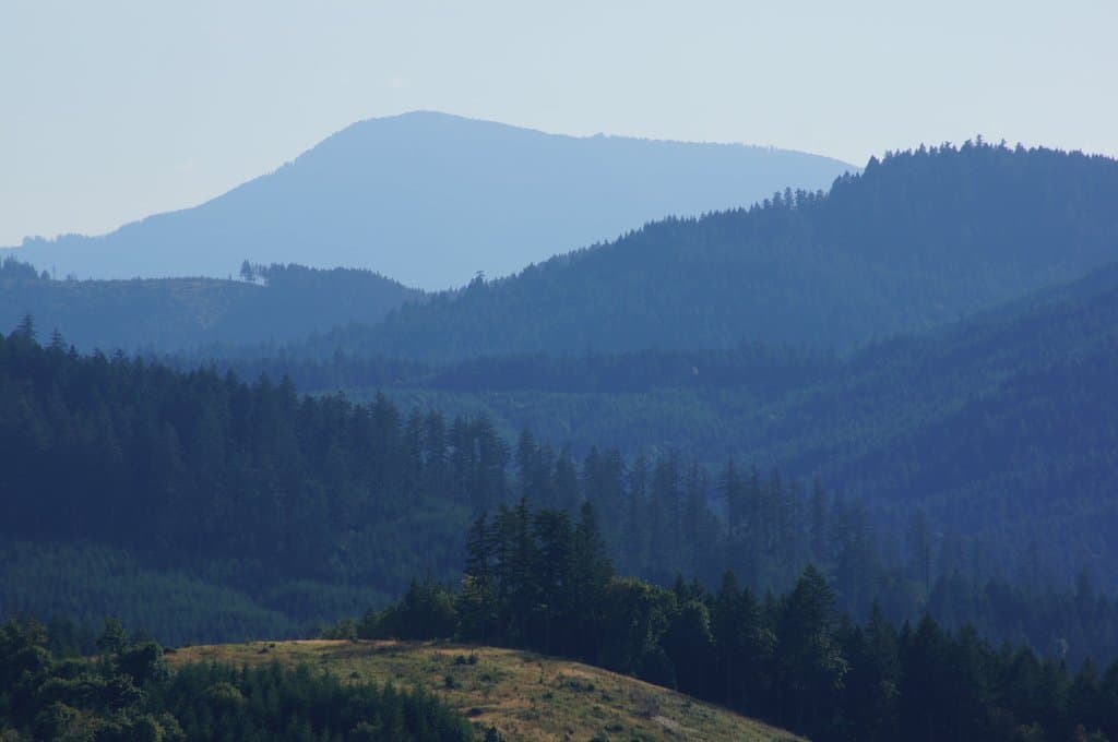 Mary's Peak