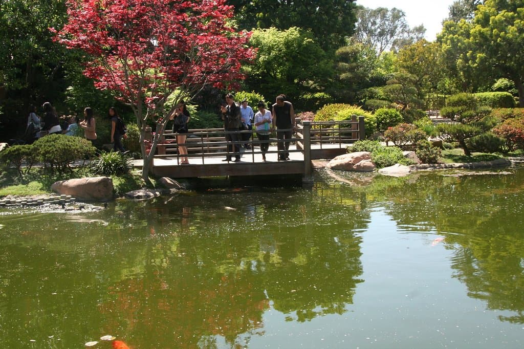 The lake