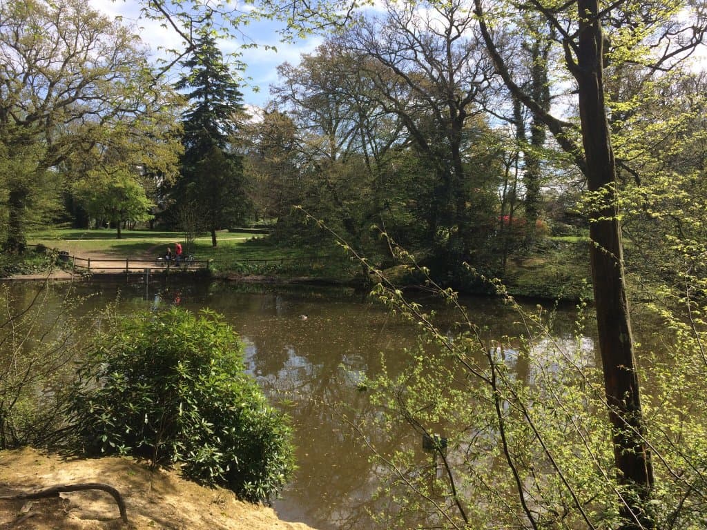 Goffs Park