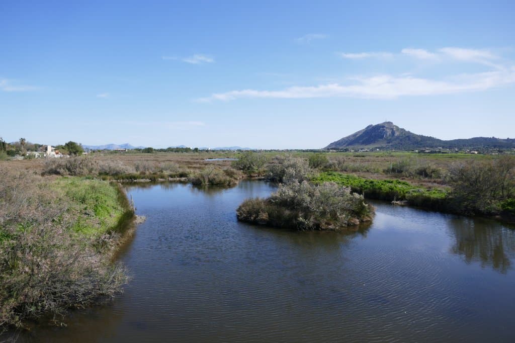 Wasserflächen in der S'Albufereta
