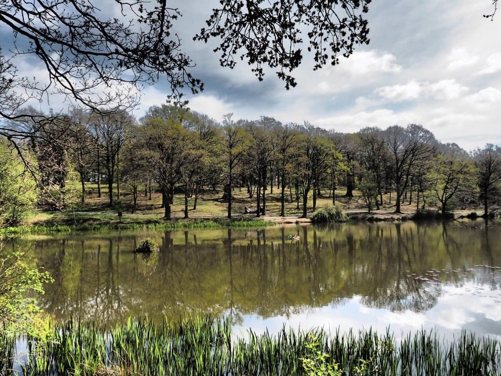 Old Hall Pond