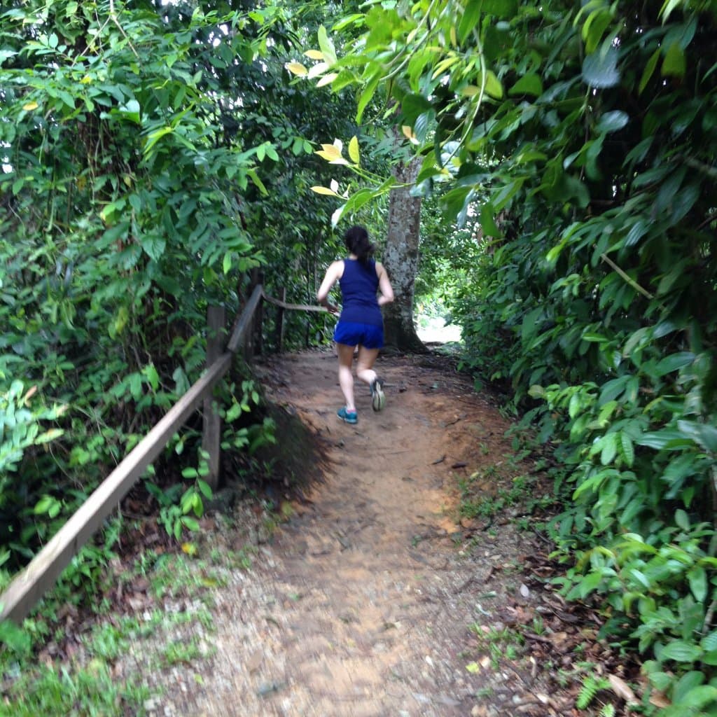 MacRitchie Treetop Walk