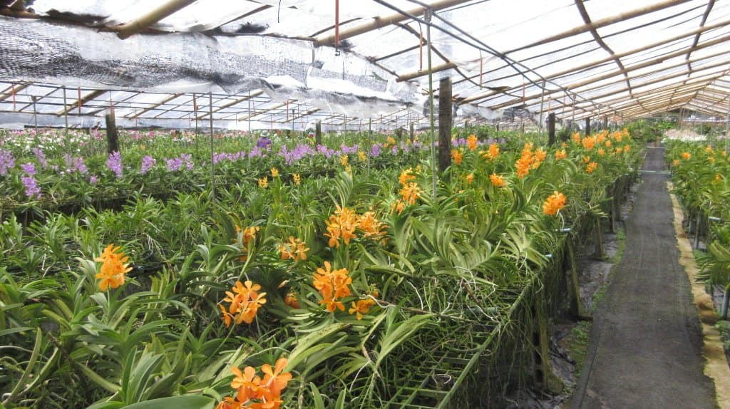 Under-cover area