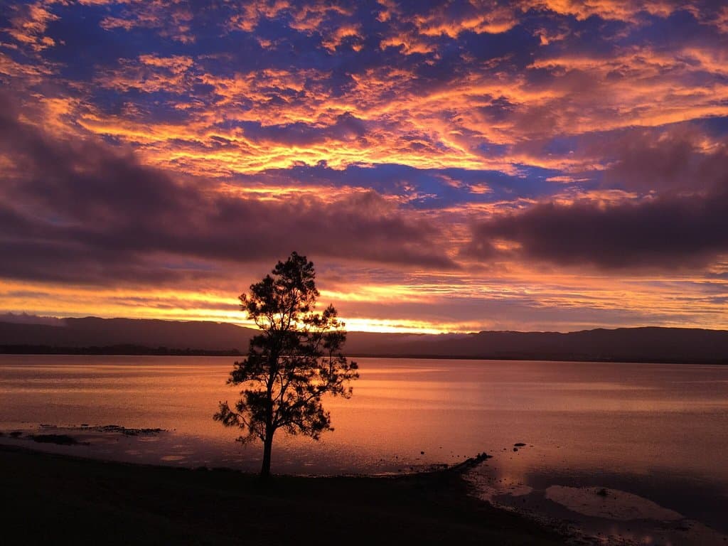 Lake Illawarra