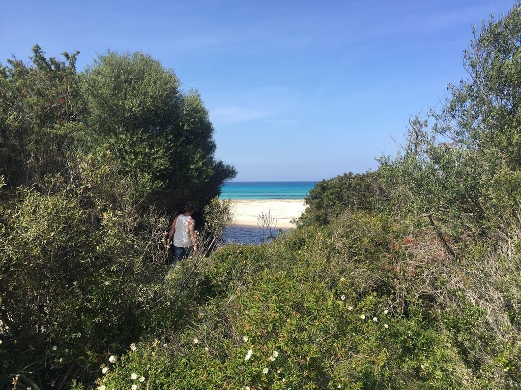 Saleccia Beach