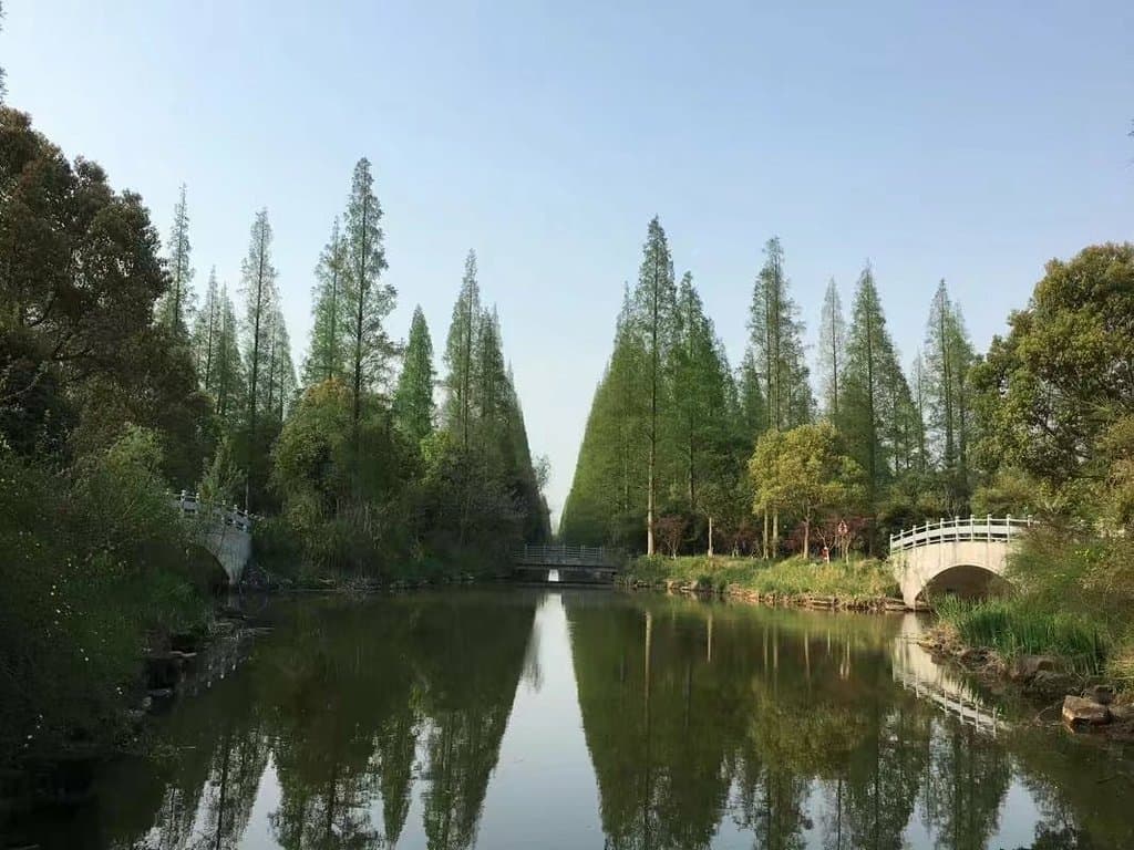 東平國家森林公園