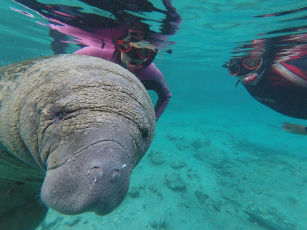 Photo bomb!