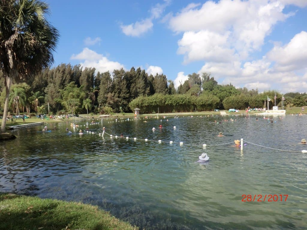 The springs