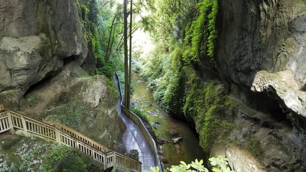 Mangapohue Natural Bridge