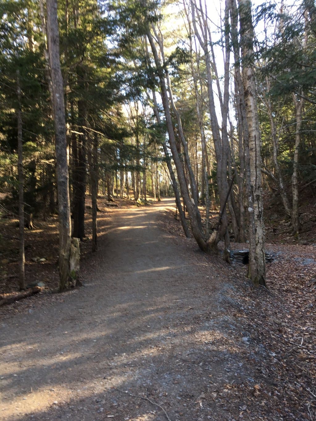 Hemlock Ravine Park
