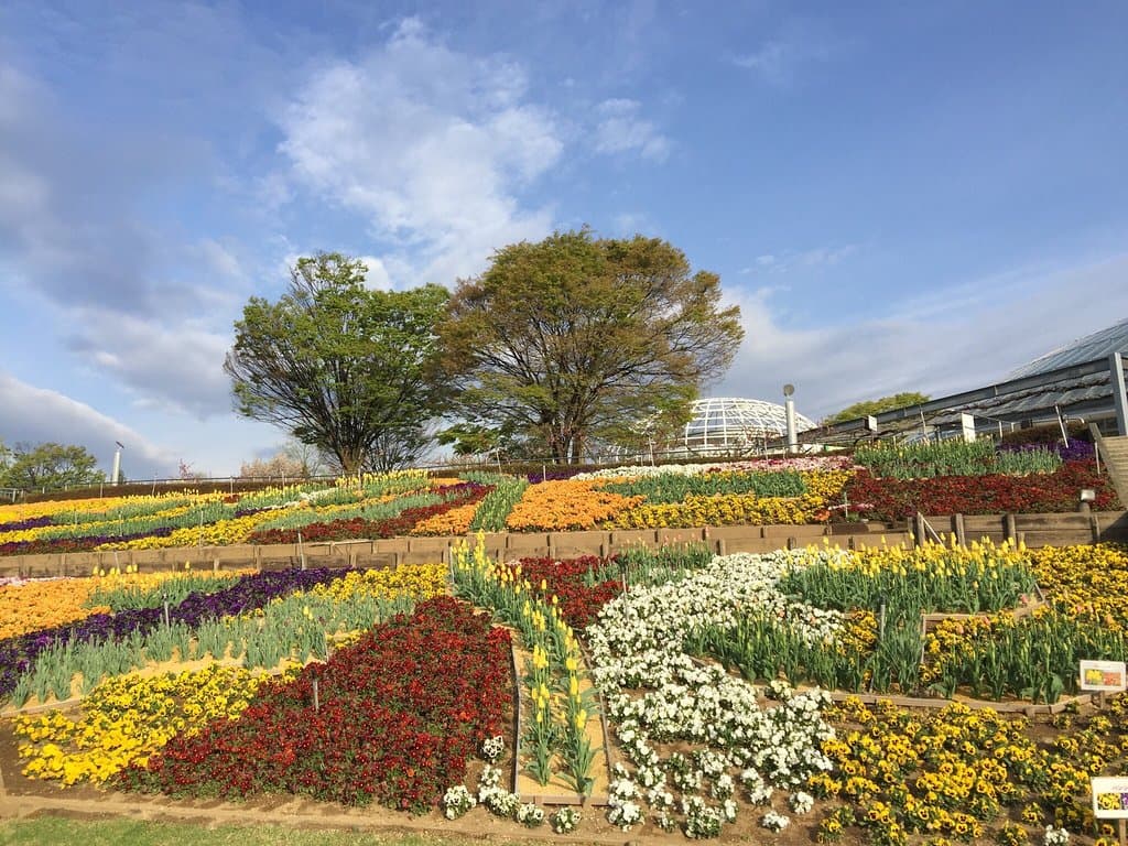 Fuefuki Fruit Park