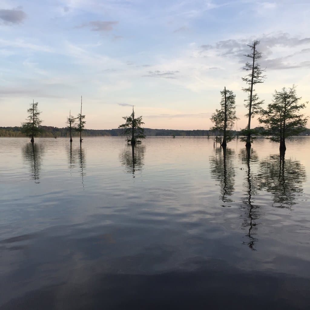 Lake D'Arbonne State Park