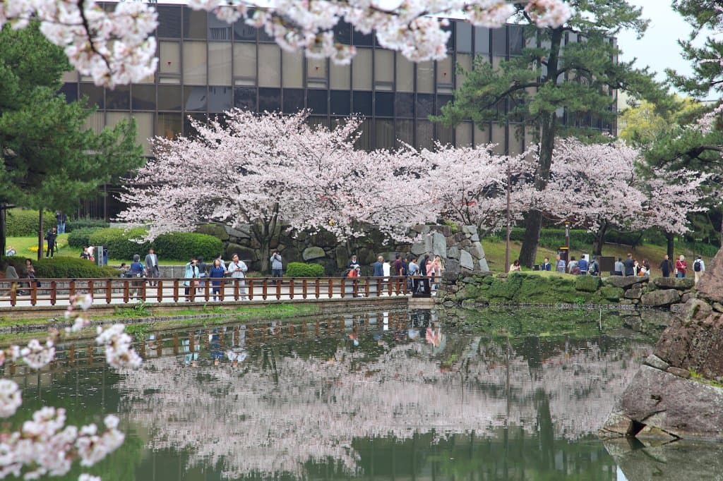 公園内の景色