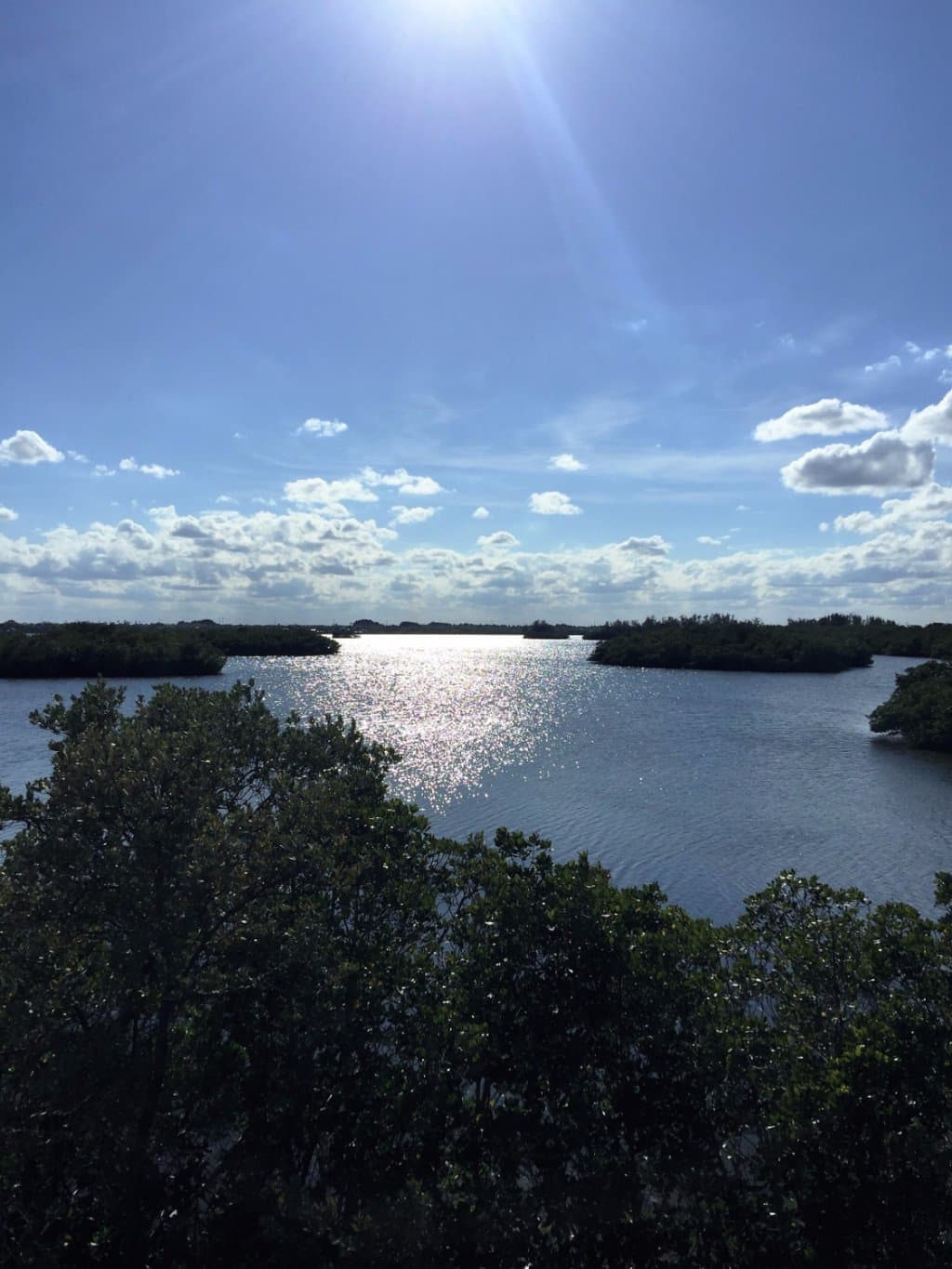 Looking west from observation tower Jack Island Preserve State Park