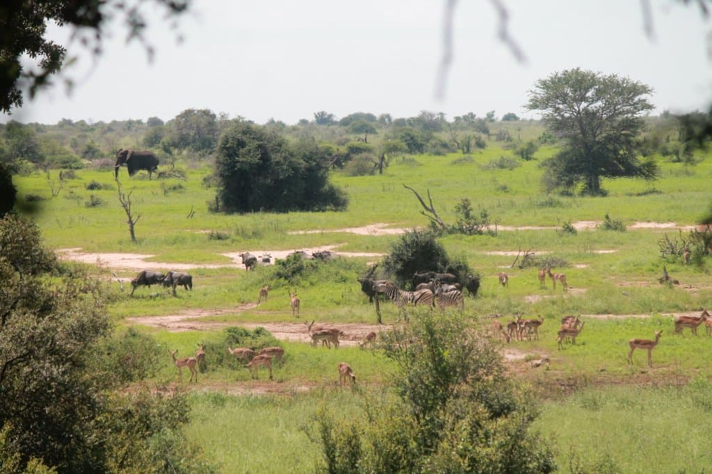 Sweni Wilderness Trail