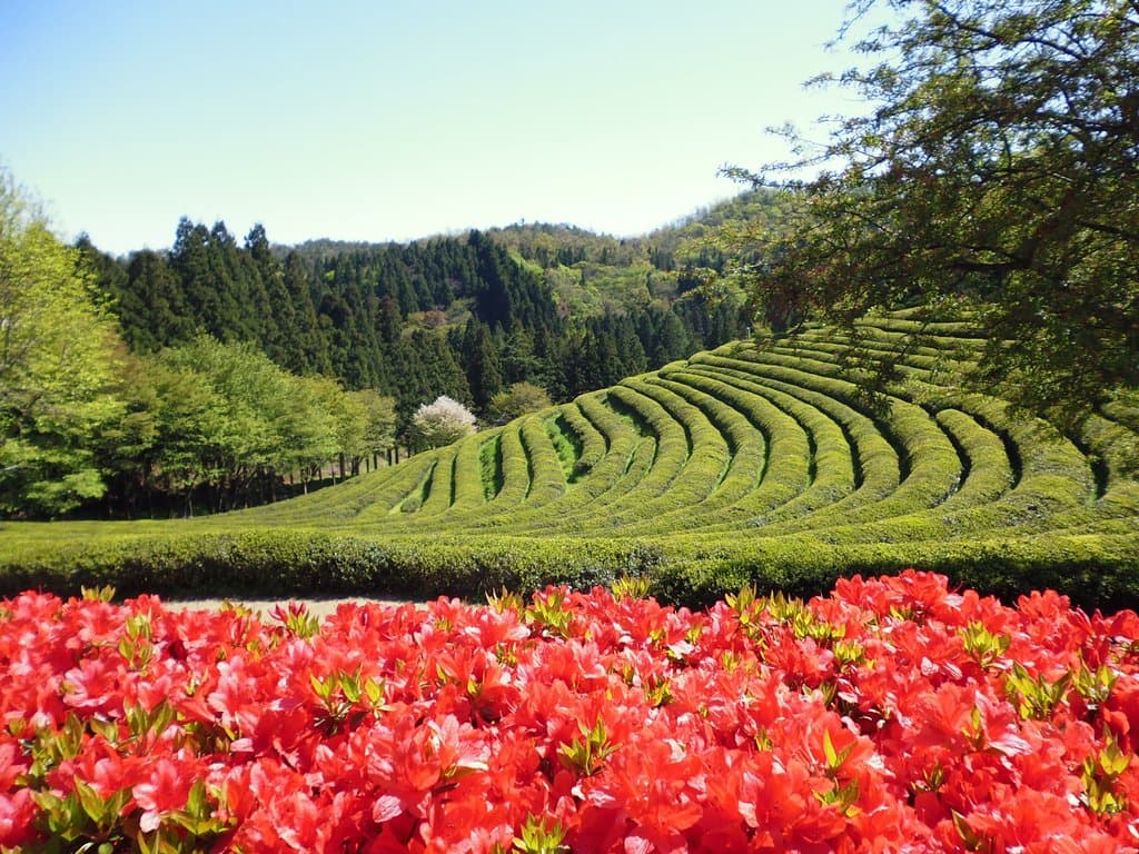 paisaje
