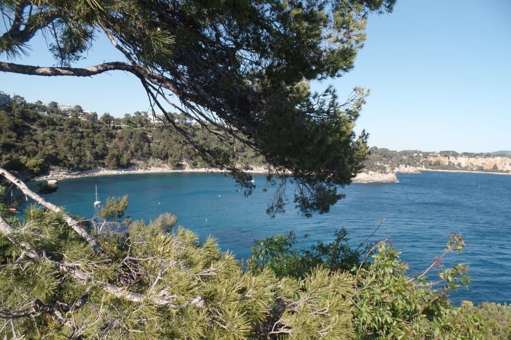 anse de mejean magaud