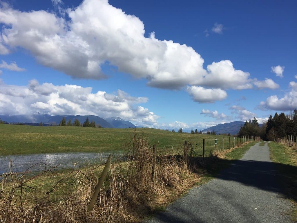 Douglas Taylor Park trail head running alongside meadow