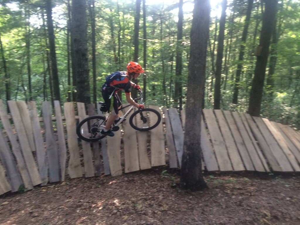 Wood berm on McTwist Trail