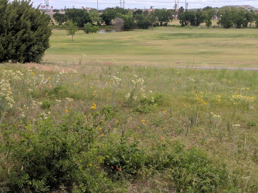 Parker Hill Nature Trail