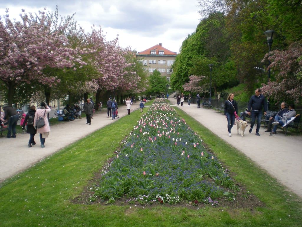 il giardino